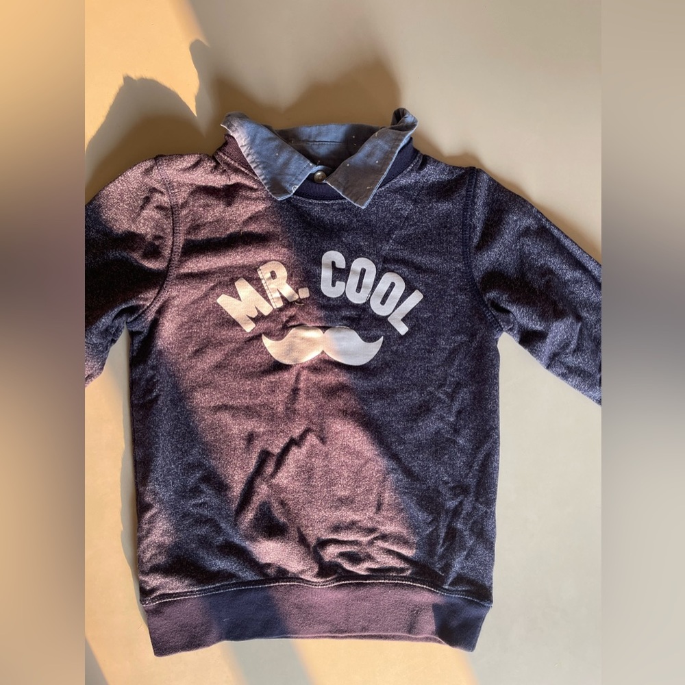 Toddler boys sweatshirt